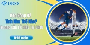 Kèo Bóng Đá Tính Như Thế Nào? Hướng Dẫn Dễ Hiểu Tại DR88