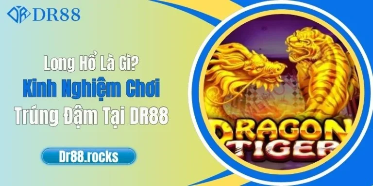 Long Hổ Là Gì? Kinh Nghiệm Chơi Trúng Đậm Tại DR88 1 Long Hổ Là Gì? Kinh Nghiệm Chơi Trúng Đậm Tại DR88